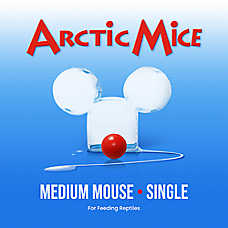 Arctic Mice Frozen Medium Mice - Snake Food - 1-5 ct