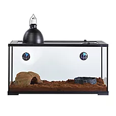 Thrive Temperate Reptile Terrarium Essentials Kit - 40 Gallon - 36x18x18