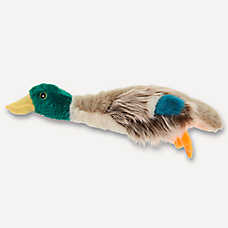 Joyhound? Crazy Comfy Realistic Duck Plush Squeaker Dog Toy