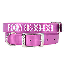 Coastal Pet Products Personalized Dog Collar