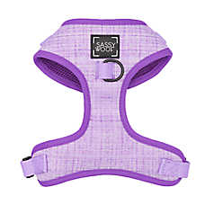 Sassy Woof Aurora Dog Harness