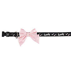 Thrills & Chills&trade; Halloween Howdy Dog Collar