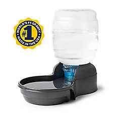Petmate Replendish Dog Water Dispenser Gravity Waterer with Microban Protection Base, 4 Gallon