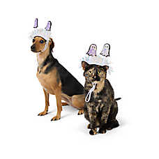 Thrills & Chills? Ghost Dog & Cat Headpiece