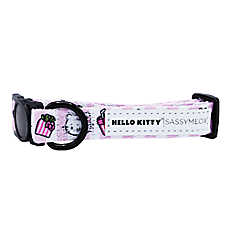 Sassy Meow Hello Kitty? Pink Neoprene Cat Collar