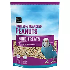 All Living Things® Shelled Peanuts - Pet Bird Treats - 8oz