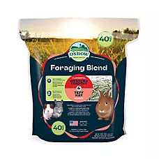 Oxbow Foraging Hay Blend Teff & Western Timothy Hay
