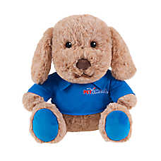 PetSmart Charities ?  Chance and Friends - Chance