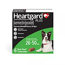 Heartgard Plus Chew for Dogs - 26-50 lbs (Green) - 1, 6, or 12 Month Supply
