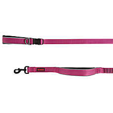 KONG? Shock Absorbing, Hands-Free, Dog Leash, 6-ft long
