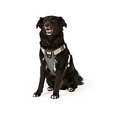 Arcadia Trail? Light Weight Dog Harness Reflective Material for Improved Low Light Visibility