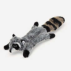 Joyhound? Crazy Comfy Realistic Raccoon Flattie Crinkler Squeaker Dog Toy