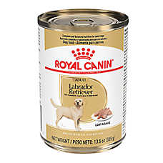 Royal Canin Labrador Retriever Large Breed Loaf in Sauce Adult Wet Dog Food - 13.5 Oz.