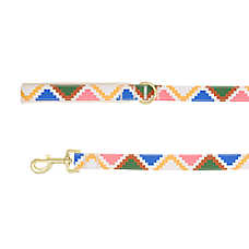 Top Paw? Aztec Print Dog Leash, White Dog Leash, Walking Dog Leash, 4' Long