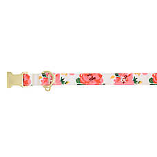 Top Paw? Floral Dog Collar, White Dog Collar, Flower Dog Collar, Adjustable, Comort, Multiple Sizes
