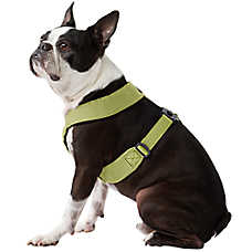 Gooby Comfort X Dual Snap Dog Harness