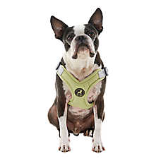Gooby Memory Foam Step In Dog Harness