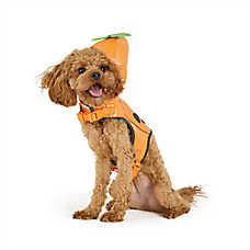 Thrills & Chills&trade; Halloween Pumpkin Dog Costume Harness