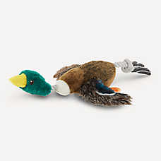 Joyhound Realistic Binded Mallard Duck Dog Toy Plush, Squeaker, XXL