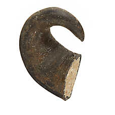 Dentley's? Filled Buffalo Horn Dog Treat - Peanut Butter, 1 Count