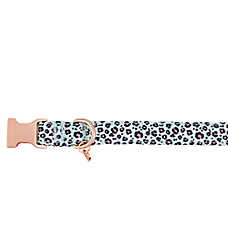 Top Paw? Cheetah Print Dog Collar, Mint & Black Dog Collar, Adjustable, Multiple Sizes