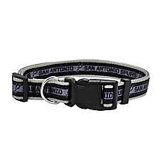 Pets First San Antonio Spurs Satin Collar