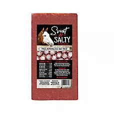 Sweet N Salty Peppermint Salt Brick for Horses - Horse Treats