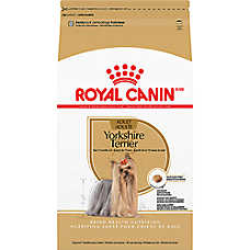 Royal Canin Adult Dry Dog Food - Yorkshire Terrier Breed Health Nutrition