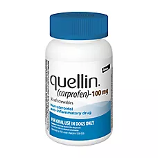 Quellin (Carprofen) Soft Chewables for Dogs - 100 mg - 30 Count or 120 Count