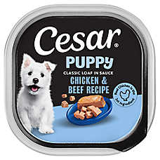 Cesar? Classics Puppy Wet Dog Food - Loaf, 3.5 Oz.