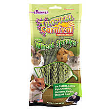 Brown's? Tropical Carnival? Wheat Sprays