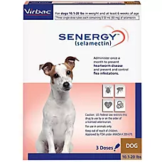 Senergy Topical for Dogs 10.1 - 20 lbs (Brown Box), 3 Month Supply