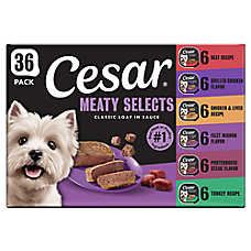 Cesar? Loaf in Sauce Adult Wet Dog Food - Poultry & Beef Flavors Variety Pack, 36 Count