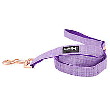Sassy Woof Aurora Dog Leash: 5-ft long