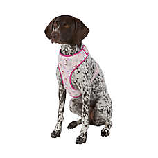Top Paw? Princess Adjustable Comfort Dog Harness