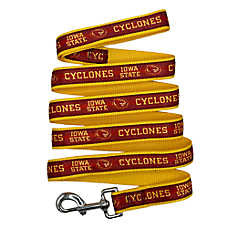 Pets First NCAA Iowa State Satin Dog Leash