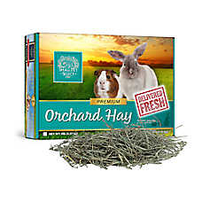 Small Pet Select Orchard Hay