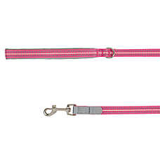 Top Paw? Reflective Dog Leash, Padded Handle, Multiple Colors, Small, Medium & Large Dogs, 6' Long