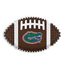 Florida Hard Nylon Football Dog Chew Toy