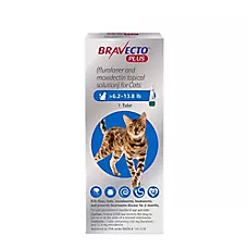 Bravecto Plus Topical Solution for Cats, 6.2-13.8 lb (Blue), 1 Dose,  2-Month Supply