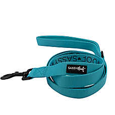Sassy Woof Neon Dog Leash: 5-ft long