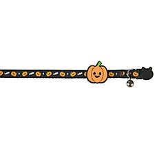 Thrills & Chills&trade; Halloween Pumpkin Kitten & Cat Collar