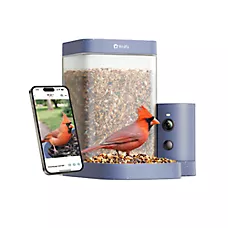 Birdfy Smart Bird Feeder Rookie AI Camera Outdoor Feeder