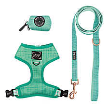Sassy Woof Wag Your Teal Dog Harness, Leash and Waste Bag Holder Bundle