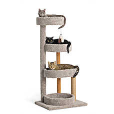 Whisker City? 51-in Treetop Terrace Carpet 4-Level Cat Tower w/ Scratching Post, Dangling Toy
