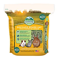 Oxbow Orchard Grass - Rabbit & Guinea Pig Hay - High Fiber for Digestive & Dental Health 15oz - 9lb