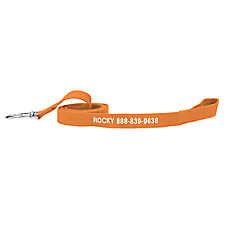 Coastal Pet Products Personalized Eco-Friendly Dog Leash: 6-ft long