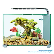 Top Fin® Premium Glass Aquarium - Fish Tank Aquarium - 5 Gallon