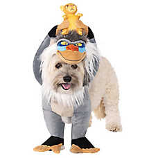 Rubie's Pet Shop Halloween Rafiki & Simba Dog & Cat Costume