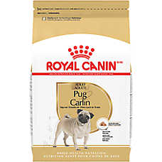Royal Canin Breed Health Nutrition Pug Adult Dry Dog Food